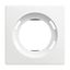 Blind central plate for power supply insert Busch-balance® SI thumbnail 3