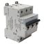 MCB - DX³ 6000 - 10 kA - 3P - 400 V~ - 4 A - C curve thumbnail 2