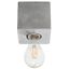 CEILING ARIZ CONCRETE E27 1X60W IP20 thumbnail 1