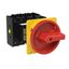 P3 Main switch, 80 A,Rear mounting, 4 pole, Form V/SVB, Red, Door coup thumbnail 7