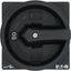 SVB-SW-T0 Thumb-grip, black, lockable with padlock, for T0, T3, P1 thumbnail 32