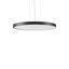 TRIONA round, 66 W, 8350 lm, 840, anthracite, DALI Pendant luminaires, thumbnail 1