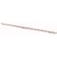 Z-GV-16/1P+N-2TE/16 Phase busbar, 2-phases, 16qmm, fork connector thumbnail 1