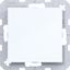 Blank plate with central plate, A.x/C.x, light white glossy thumbnail 1