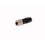 Field-Wireable Connector Female Connector M12 × 1, Straight   FW-ERKPM0526-SA-P-0408 thumbnail 2