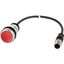 C22-DRL-R-K01-24-P3 Illuminated pushbutton actuators, maintained, red, 24v, 1 N/C, with cable 0.5m and M12A plug thumbnail 4
