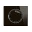L4 RING COMMAND ROCKER ONYX BLACK GLASS thumbnail 5