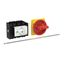 P3 Main switch, 80 A,Rear mounting, Form M4/SVB, HI11 thumbnail 2