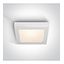 WHITE PLAFO 22W CCTV IP40 230V thumbnail 1