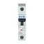 Miniature circuit breaker (MCB), 63 A, 1p, characteristic: C thumbnail 6