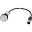 C22-DRL-W-K10-24-P1 Illuminated pushbutton actuator, classic, flat, maintained, 1 N/O, white, 24 V AC/DC, cable (black) with m12a plug, 4 pole, 0.2 m thumbnail 5