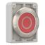 M30I-FDR-R-X0 Pushbutton, RMQ-Titan, flat, maintained, red, inscribed, Front ring stainless steel thumbnail 7