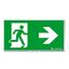 PURESIGN 150 MSW/MRW SP1-E002-R ERI SR - Safety sign thumbnail 1