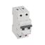 MCB RX³ 6000 - 2P - 230/400V~ - 20 A - B curve - prong/fork type supply busbars thumbnail 1