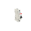 MD99 thumbnail 2