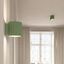 Ceiling lamp AURA 1 sage Gx53 thumbnail 4