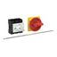 P3 Main switch, 80 A,Rear mounting, 3 pole, Form M4/SVB, Red, Door cou thumbnail 4