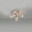 Ceiling lamp RING 3P taupe thumbnail 6