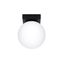 CEILING LAMP YOLI 1 BLACK G9 1X12 IP20 thumbnail 2