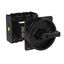 P3 Main switch, 80 A,Rear mounting, 4 pole, Form V/SVB, Black, Door co thumbnail 7