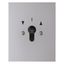 Blind switch 2-pole for key cylinder, flush-mounted, molded IP44 thumbnail 1