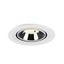 NUMINOS® GIMBLE S 4000K 20° white/chrome thumbnail 2