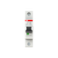 MD01 thumbnail 2