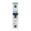 Miniature circuit breaker (MCB), 4 A, 1p, characteristic: D thumbnail 13