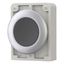 M30C-FD-S Pushbutton, RMQ-Titan, Flat, momentary, black, Blank, Metal bezel thumbnail 12