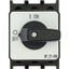 P1-25/E On-Off switch, P1, 25 A, flush mounting, 3 pole, with black thumb grip and front plate thumbnail 3