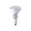 Reflector Bulb R39 230V 30W E14 frosted Bellight thumbnail 2