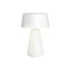 WHITE 3W WW RECHARGEABLE USB IP65 DIMMABLE thumbnail 1