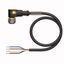 Actuator and Sensor Cable, PVC Connection Cable   WKC4.4T-P7X3-2/TEL thumbnail 1