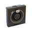 XLR female socket Mosaic 2 modules screw-type matt black thumbnail 1