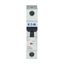 Miniature circuit breaker (MCB), 32 A, 1p, characteristic: Z thumbnail 5