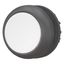 M22S-D-W Pushbutton, RMQ-Titan, Flat, momentary, White, Blank, Bezel: black thumbnail 2