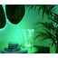 200L RGB Dots Light, 10 meter long, Transparent, BT+WiFi, Gen II, IP44, Plug F thumbnail 3