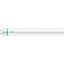 Philips MASTER Value, LEDtube, T8, EM/Mains, 1200 mm, 13.1 W, 15.5 W, 36W TL-D, 3000 K, 2000 lm, 2300 lm, CRI 80, 75000 hour(s) thumbnail 2