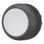 Pushbutton, RMQ-Titan, Flat, momentary, gray, Blank, Bezel: black thumbnail 4