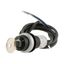 C22-WRS-MS1-K02-P65 Key-operated actuator, RMQ compact solution, maintained, 2 NC, Cable (black) with non-terminated end, 4 pole, 3.5 m, 2 positions, MS1, Bezel: titanium thumbnail 12