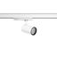 CALIDO CLICKBEAM midi, 24 / 24 W, 2450 / 2550 lm, 940, white, on/off S thumbnail 2