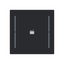 LFS/A.1.70.1-45M Cover plate with legend with Symbol "scene" black matt - Trevion® thumbnail 1