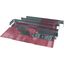 XPIX16BCB-BC-0806 Busbar coupling internal partition, W x D = 800 x 600 mm thumbnail 4