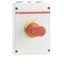 OTP36A6M Safety switch thumbnail 1