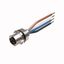 M12 Power Flange Front-mounted   FK46PT-0.5/M16 thumbnail 2