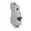 MCB RX3 1-pole 32A curve B 6kA thumbnail 2