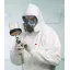 3M™ Reusable Half Mask Respirator, Large, 6300 thumbnail 1