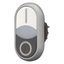 M22-DDLF-WS-X1/X0 Double actuator pushbutton, RMQ-Titan, Actuators and indicator lights flush, momentary, White lens, white, black, inscribed, Bezel: titanium thumbnail 5