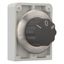 M30I-FW3 Changeover switch, RMQ-Titan, with rotary head, momentary, 3 positions, inscribed, Front ring stainless steel thumbnail 7