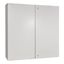 Wall-mounted enclosure 2 doors IP54 H=1000 W=1000 D=300 mm thumbnail 1